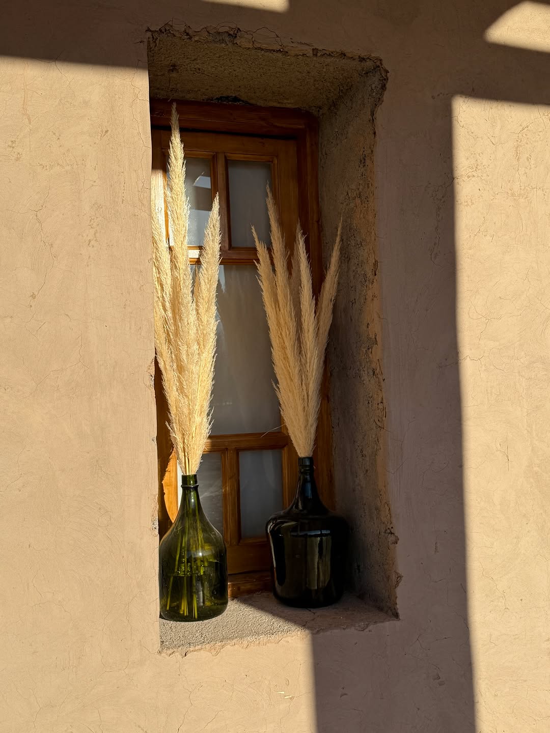 Detalles que enamoran y una vista que lo tiene todo. 💚  Madera, adobe y esa luz dorada que entra por