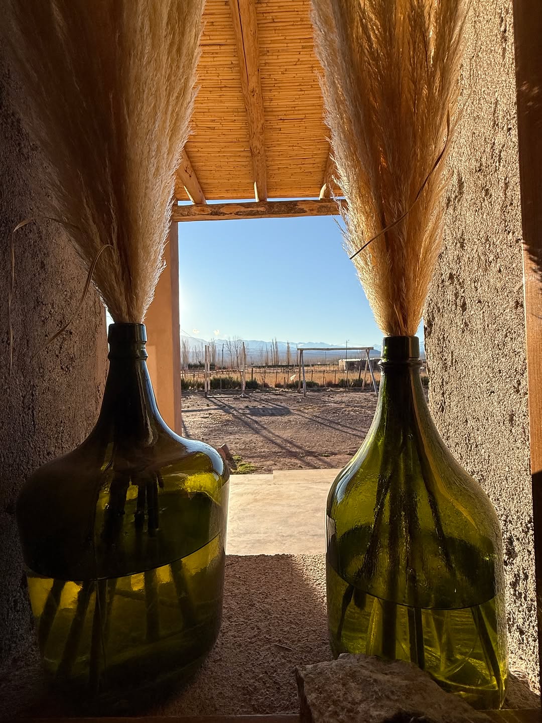 Detalles que enamoran y una vista que lo tiene todo. 💚  Madera, adobe y esa luz dorada que entra por